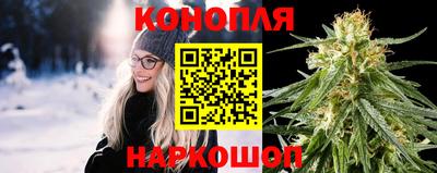 сатива Ирбит