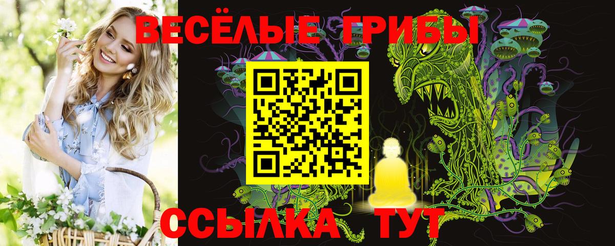 Киров  Галлюциногенные грибы мухоморы  Вход с VPN 