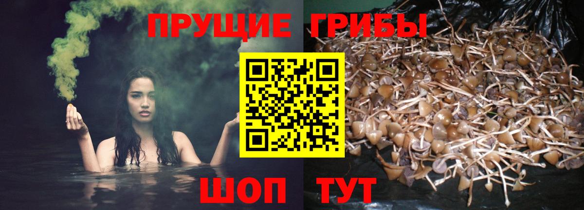 Псилоцибиновые грибы мухоморы Киров